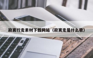 株洲寂寞行走素材下载网站（寂寞走是什么歌）